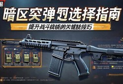 暗区突围蛋匣选择指南，提升战斗续航的关键技巧